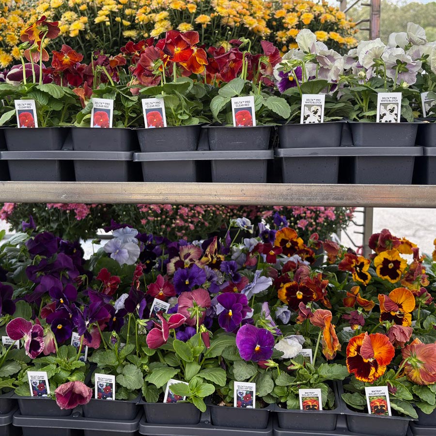 mosaic-tile-square-16